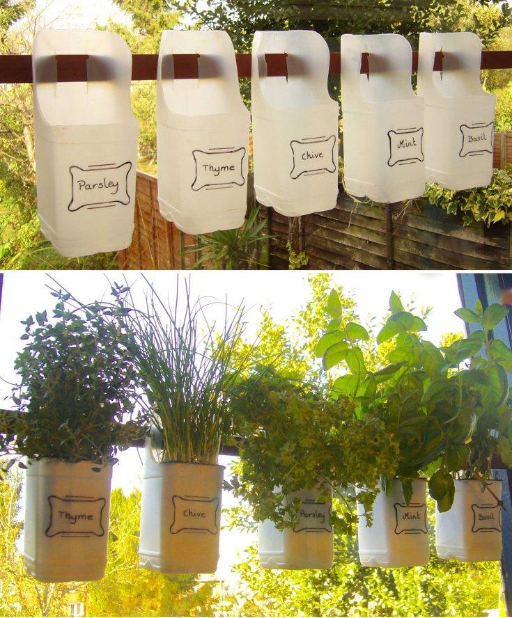 Plastic Bottles