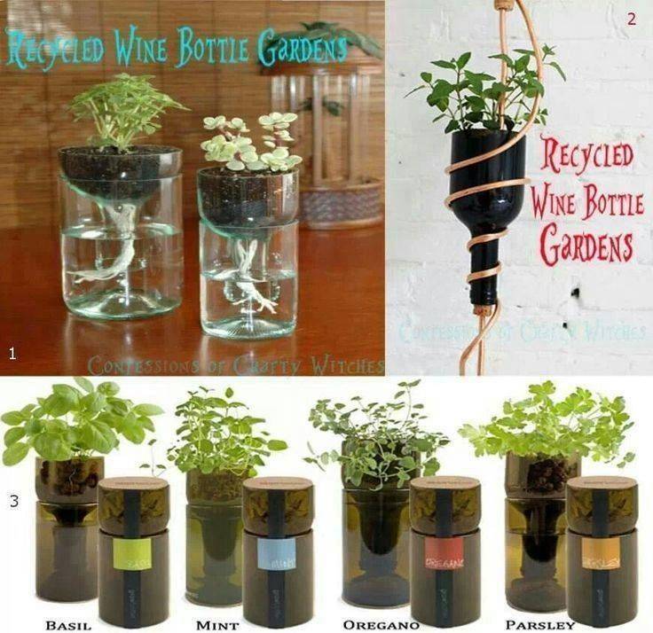 Diy Plastic Bottle Herb Hanging Garden Pictures