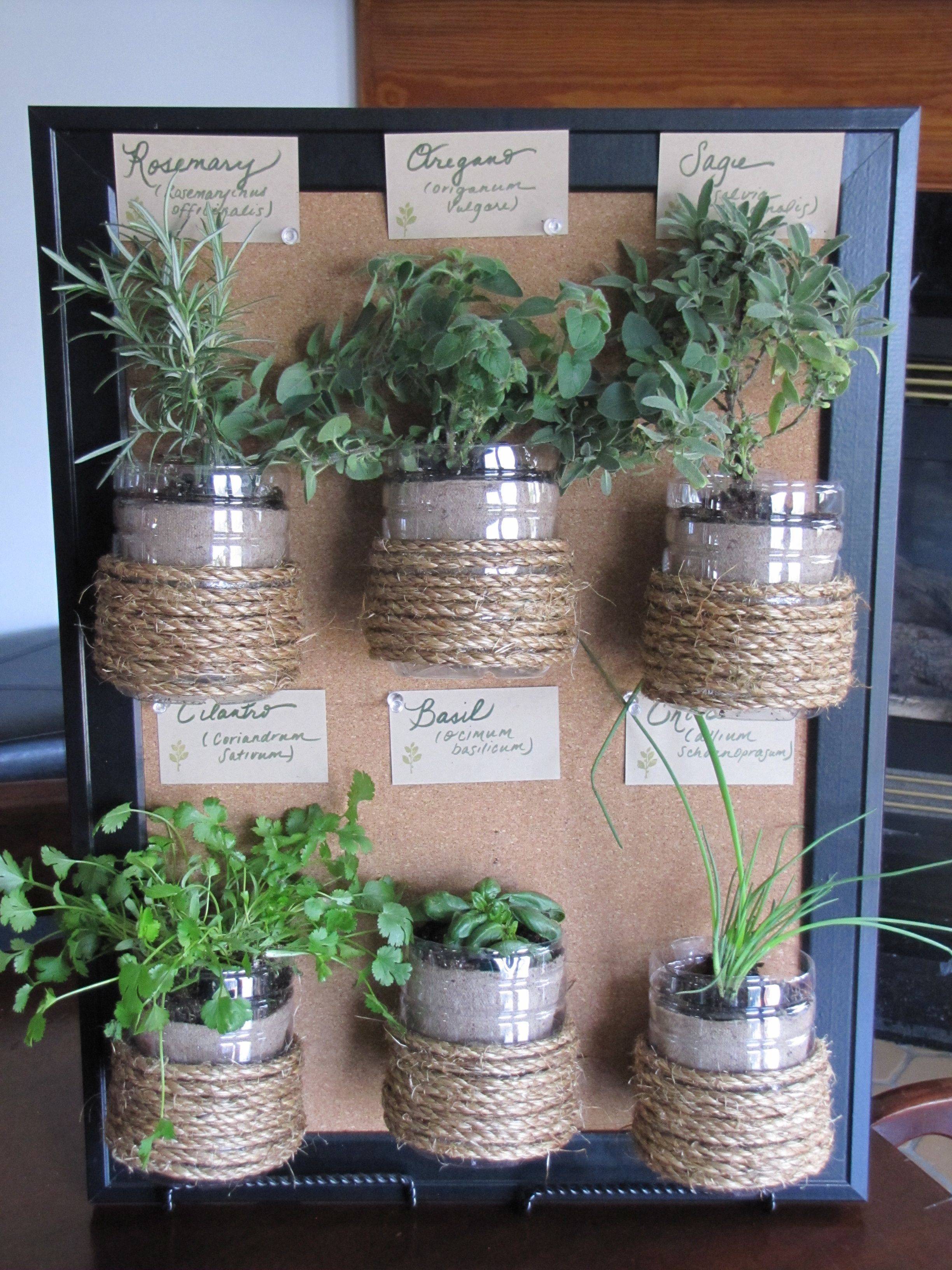 Milk Bottle Planters
