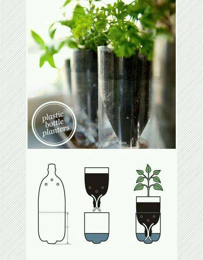 A Plastic Bottle Herb Garden Bottle Garden