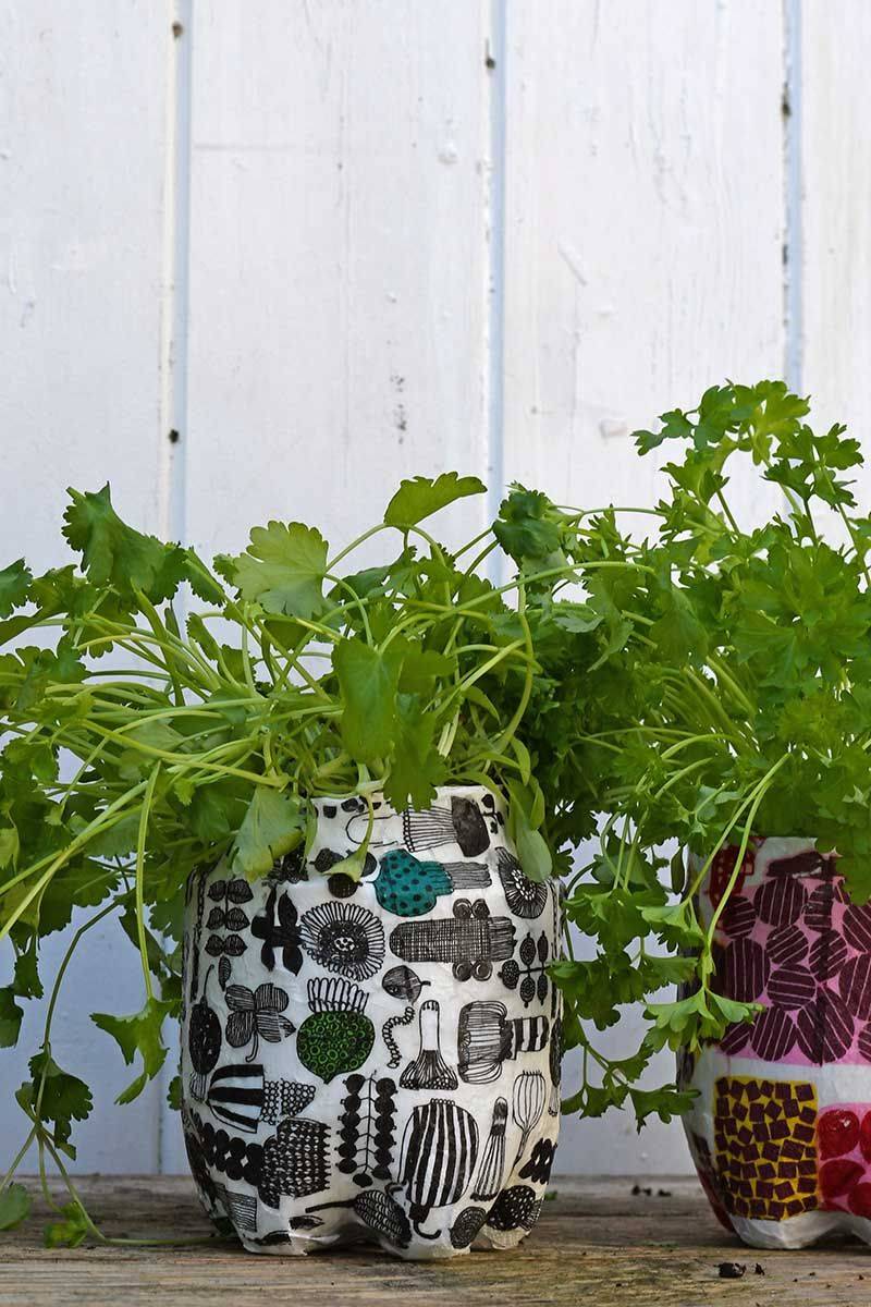 Recycling Make A Plastic Bottle Herb Garden Bottle Garden Recycled