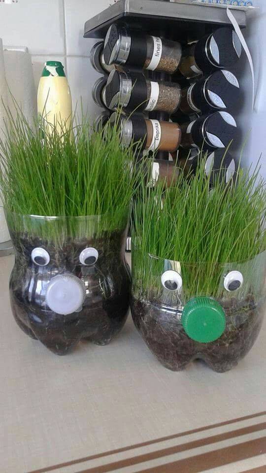 Plastic Bottles Diy Fun World