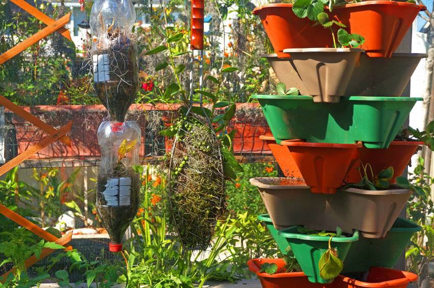 Plastic Bottle Vertical Garden Ideas
