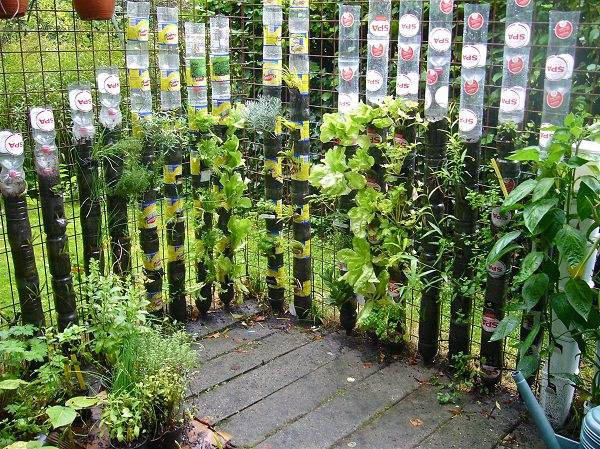 Liter Bottle Garden Liter Soda Bottle Wall Garden Diy Household