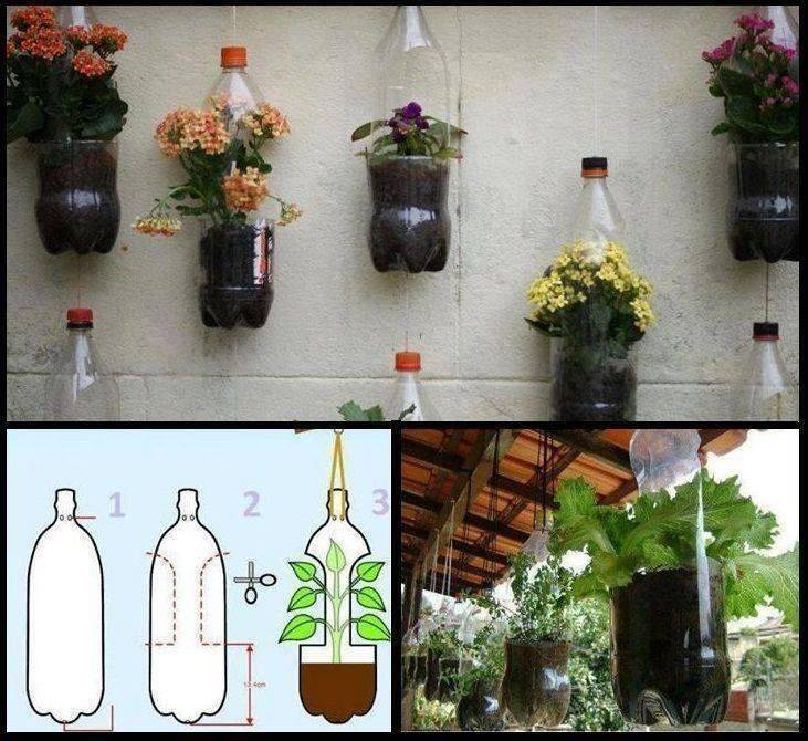 Plastic Liter Bottles
