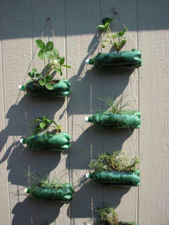 Recycled Soda Bottles Diy Projects