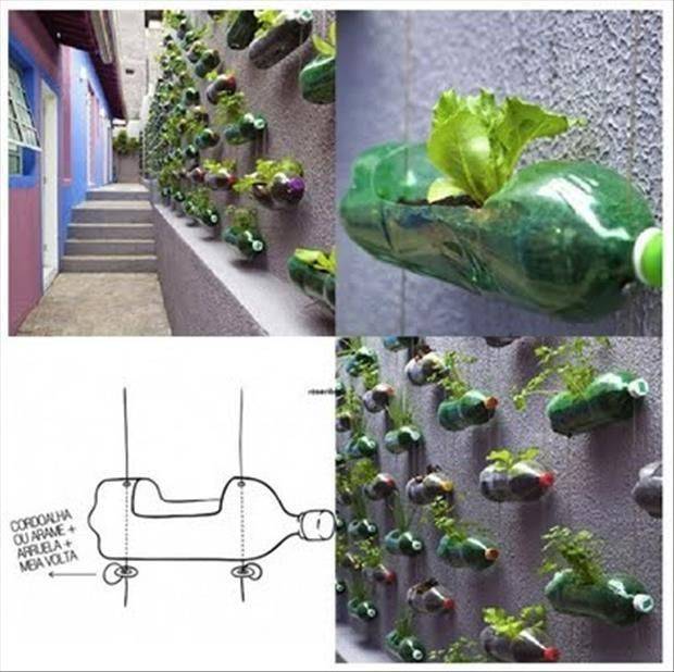 Diy Hanging Planter