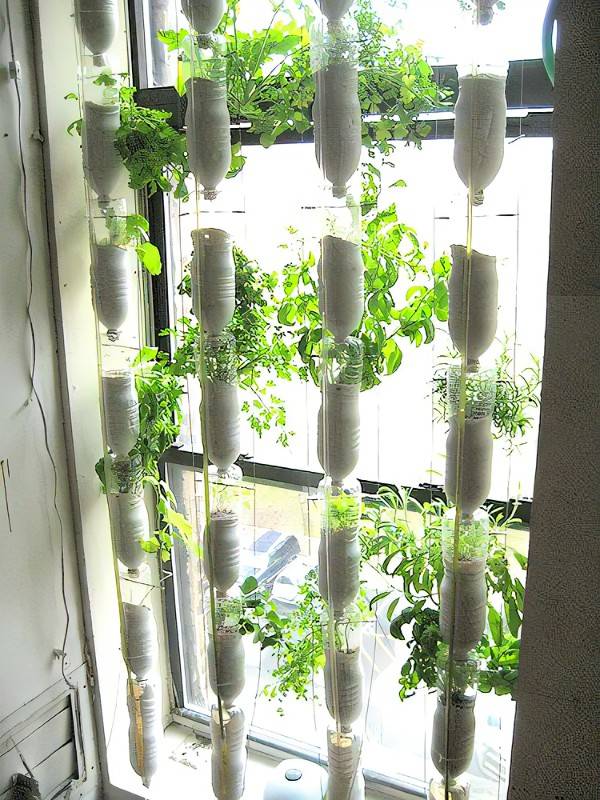 Diy Hanging Planter