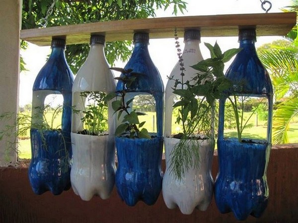 Brilliant Plastic Bottle Garden Ideas