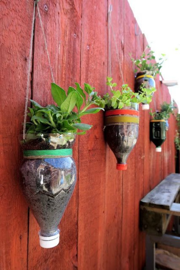 Bottle Planters