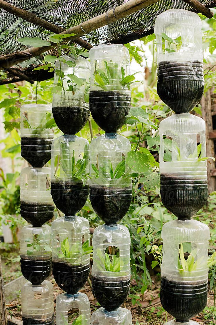 Plastic Bottle Planter