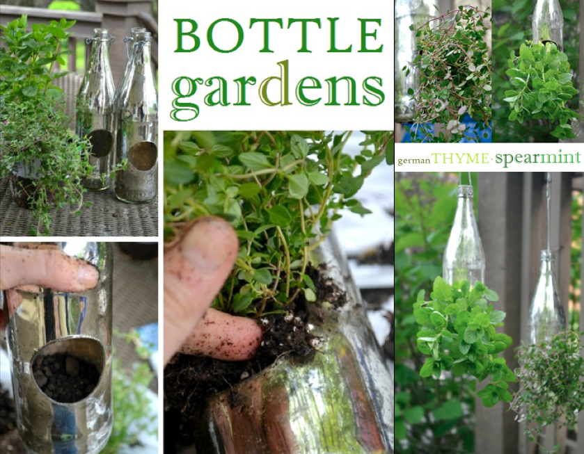 Liter Bottle Planters
