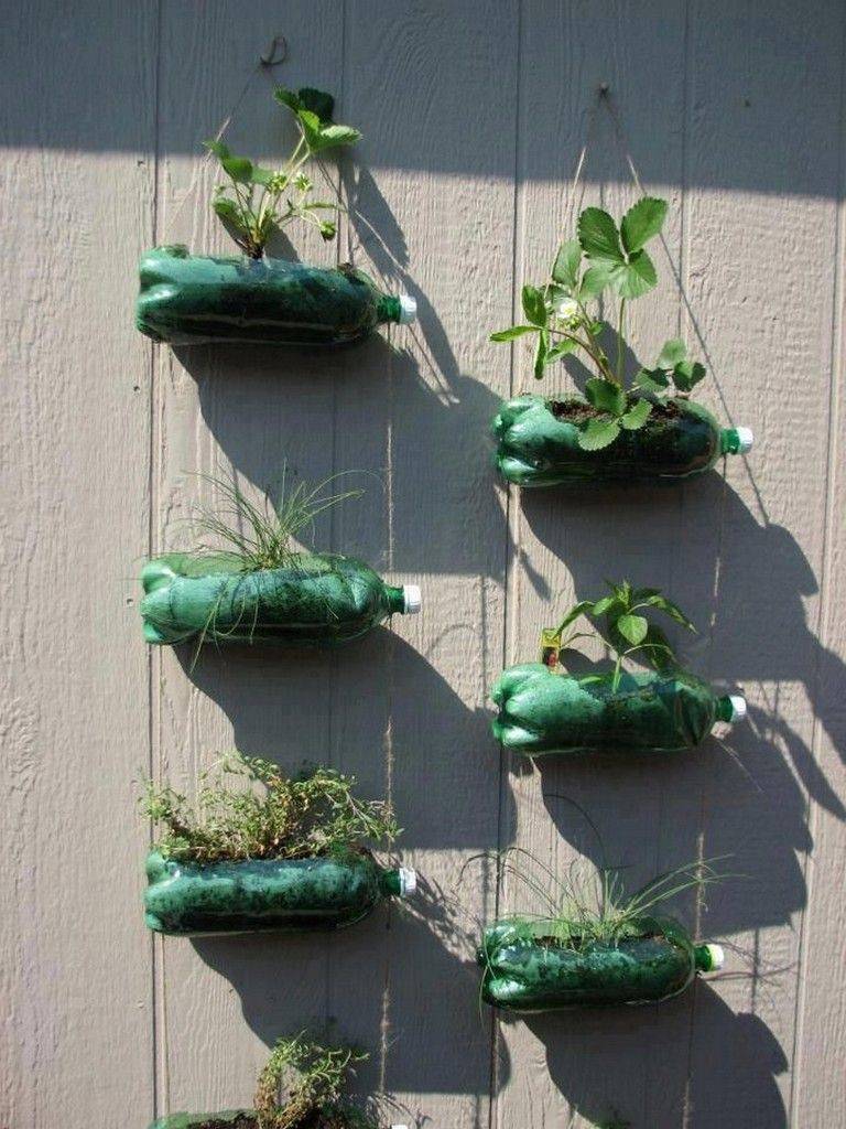 Brilliant Plastic Bottle Garden Ideas