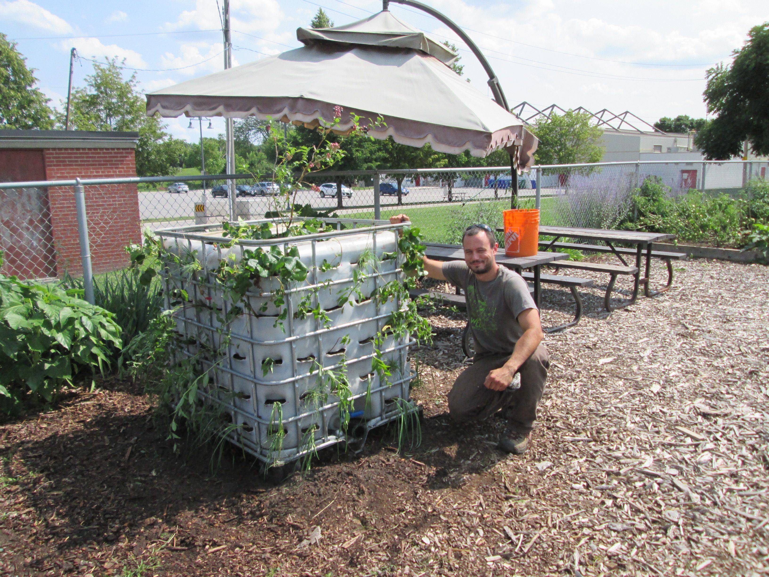 Recycle Plastic Bottle Decor Life