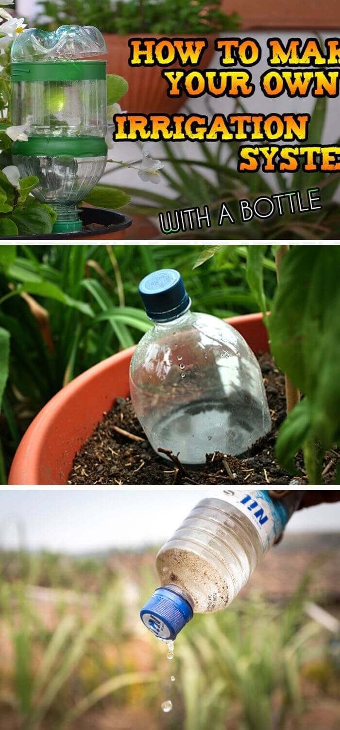 Diy Plastic Bottle Crafts