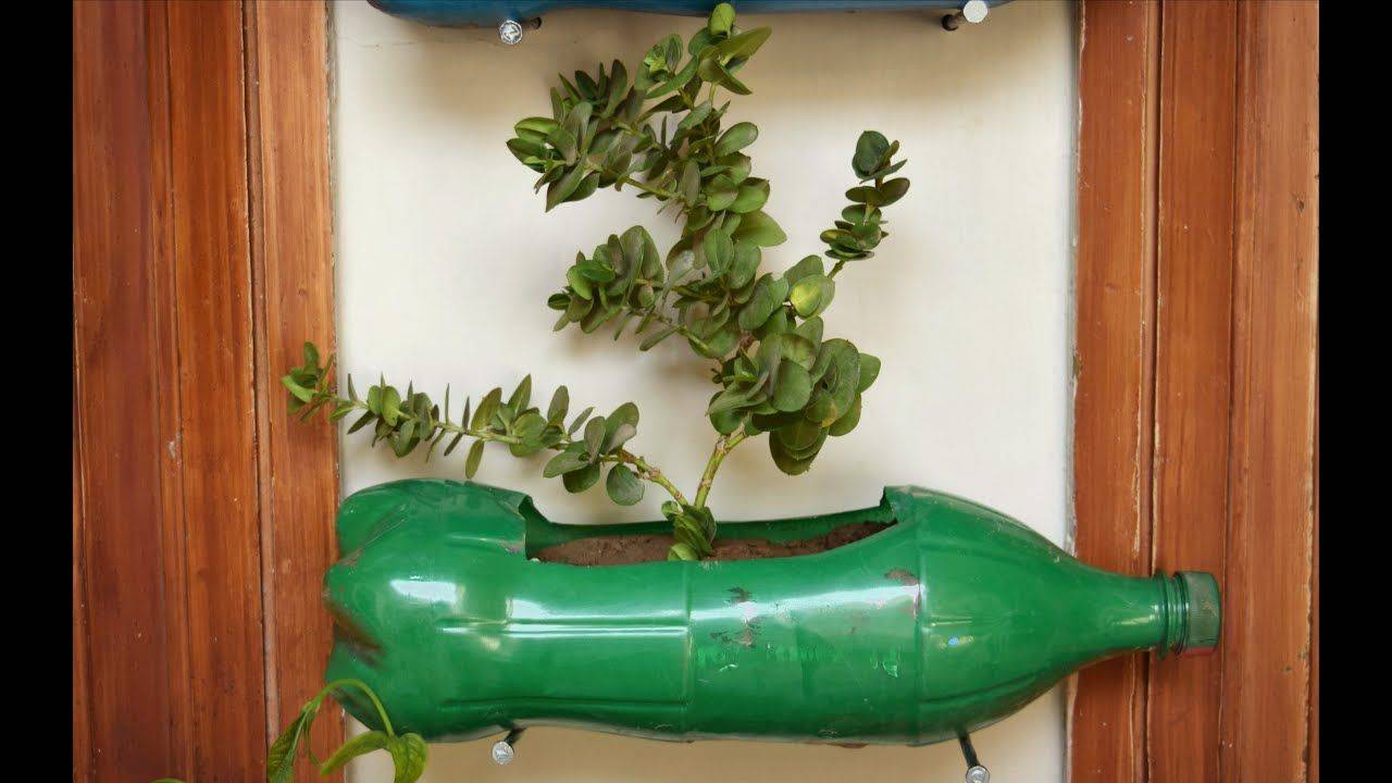 Amazing Bottle Garden Ideas