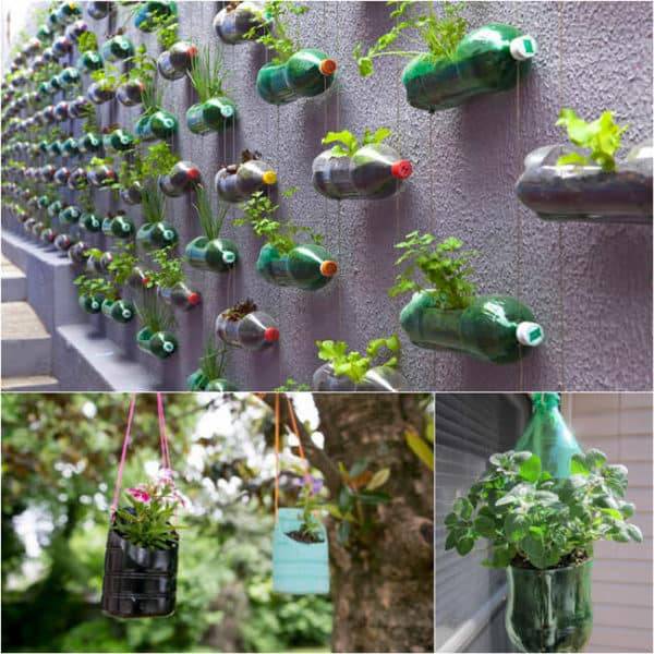 Recycle Plastic Bottles Creative