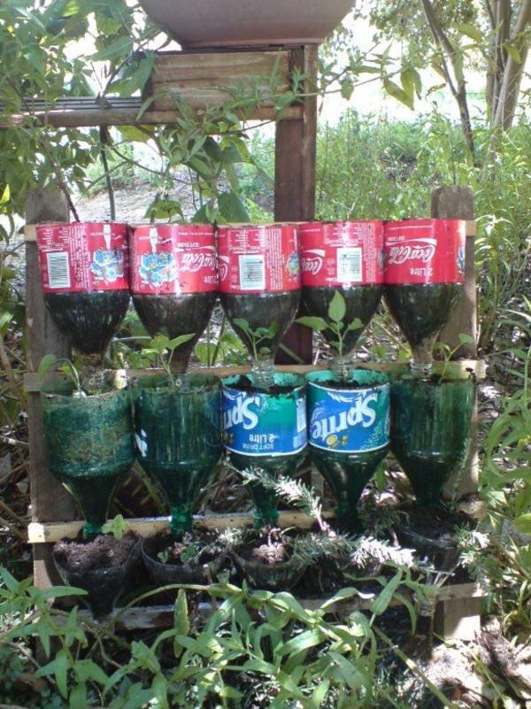 Plastic Bottle Vertical Garden Ideas Soda Bottle Garden