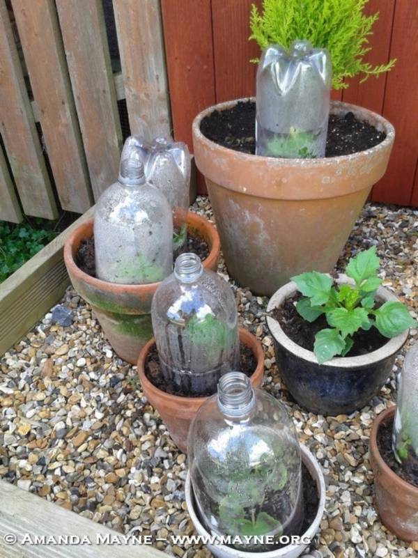 Brilliant Plastic Bottle Garden Ideas