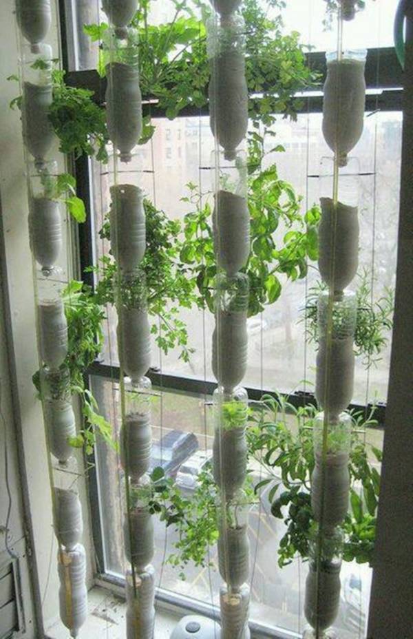 Plastic Bottle Garden