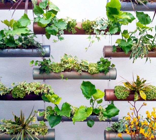 Vertical Garden