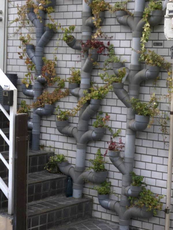 Vertical Bottle Garden