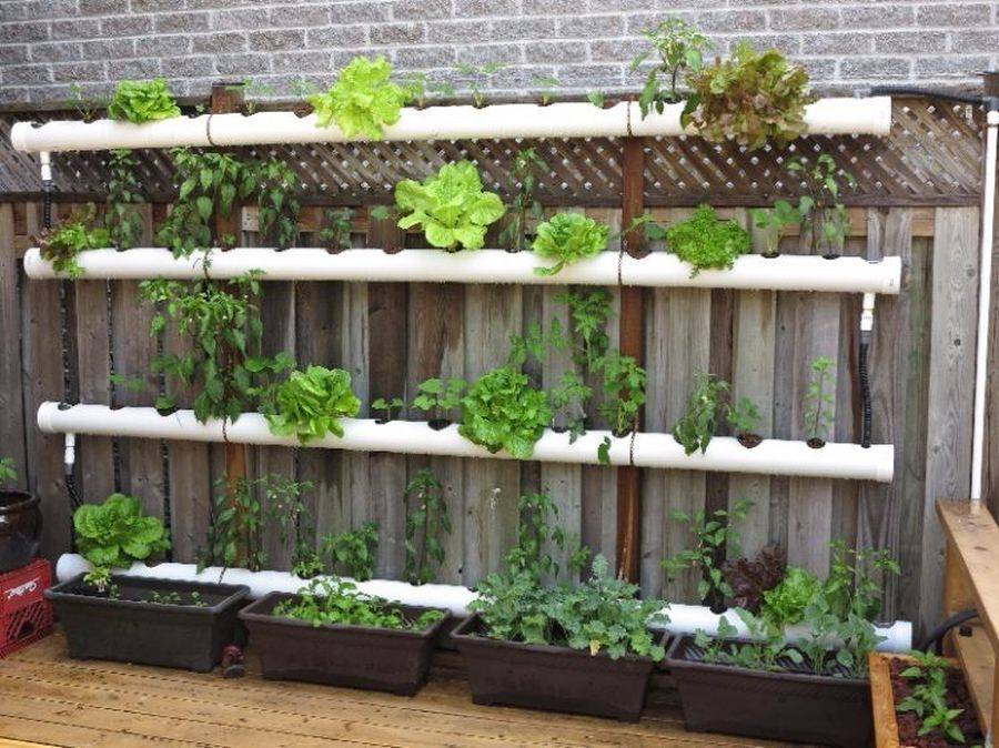 An Indoor Greenhouse