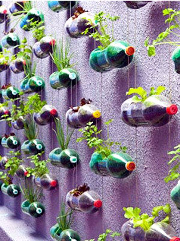 Diy Plastic Bottle Garden Projects