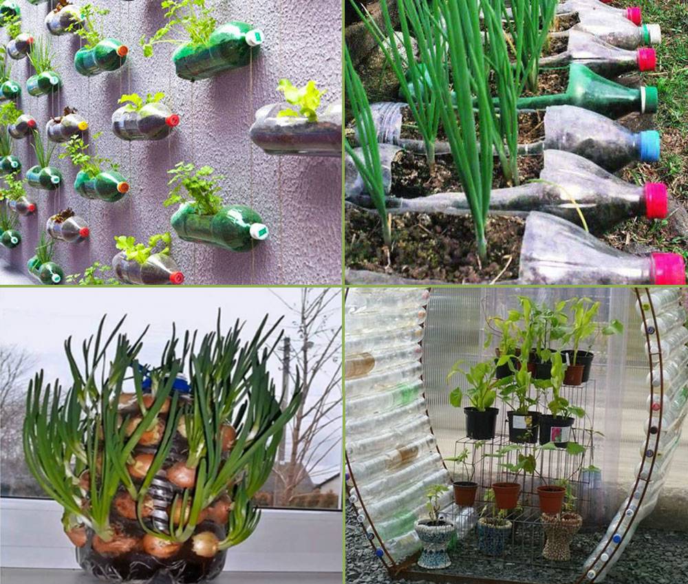 Diy Plastic Bottle Garden Projects