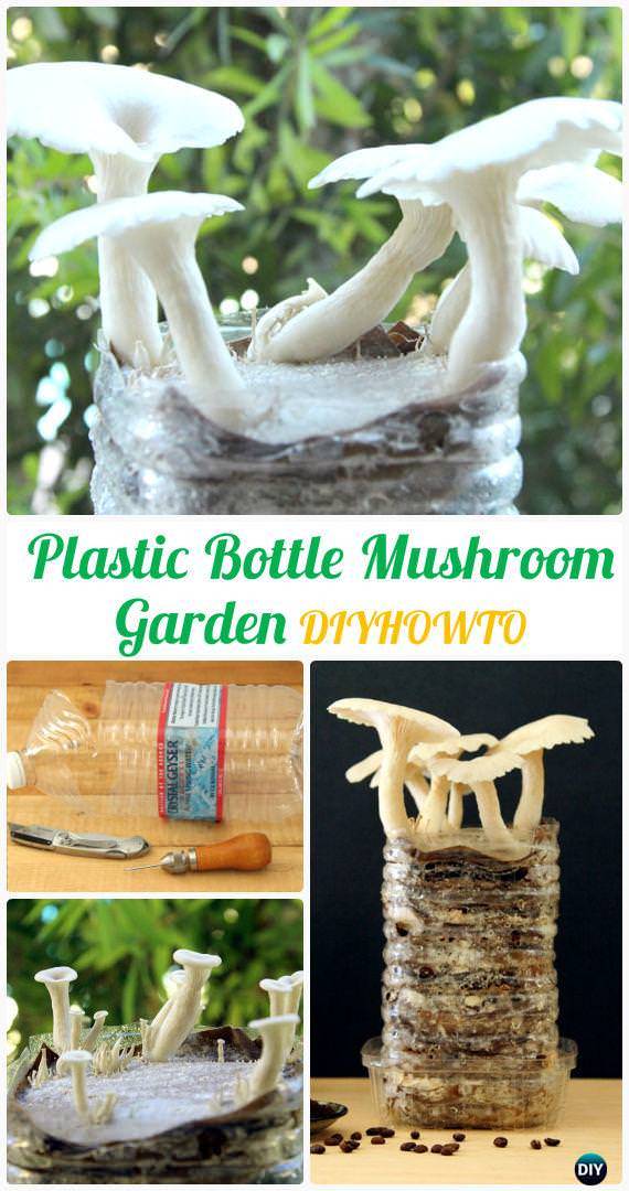 Diy Plastic Bottle Garden Projects