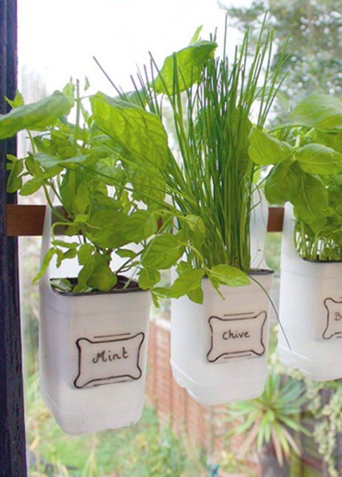 Brilliant Plastic Bottle Garden Ideas