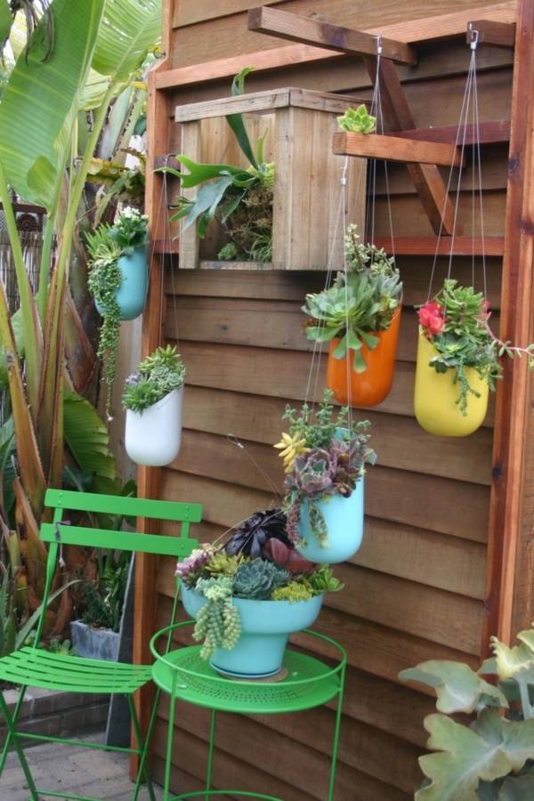 Brilliant Plastic Bottle Garden Ideas