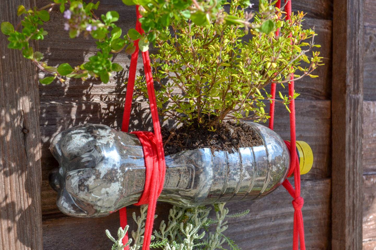 Gardening Ideas