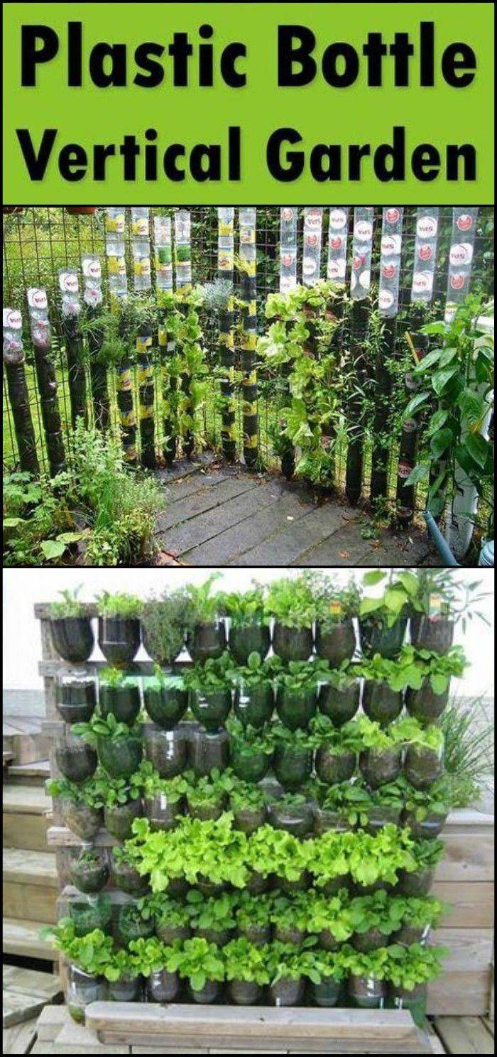 Brilliant Diy Vertical Garden Plastic Bottles