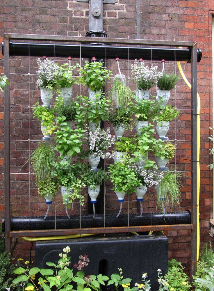 Vertical Bottle Garden