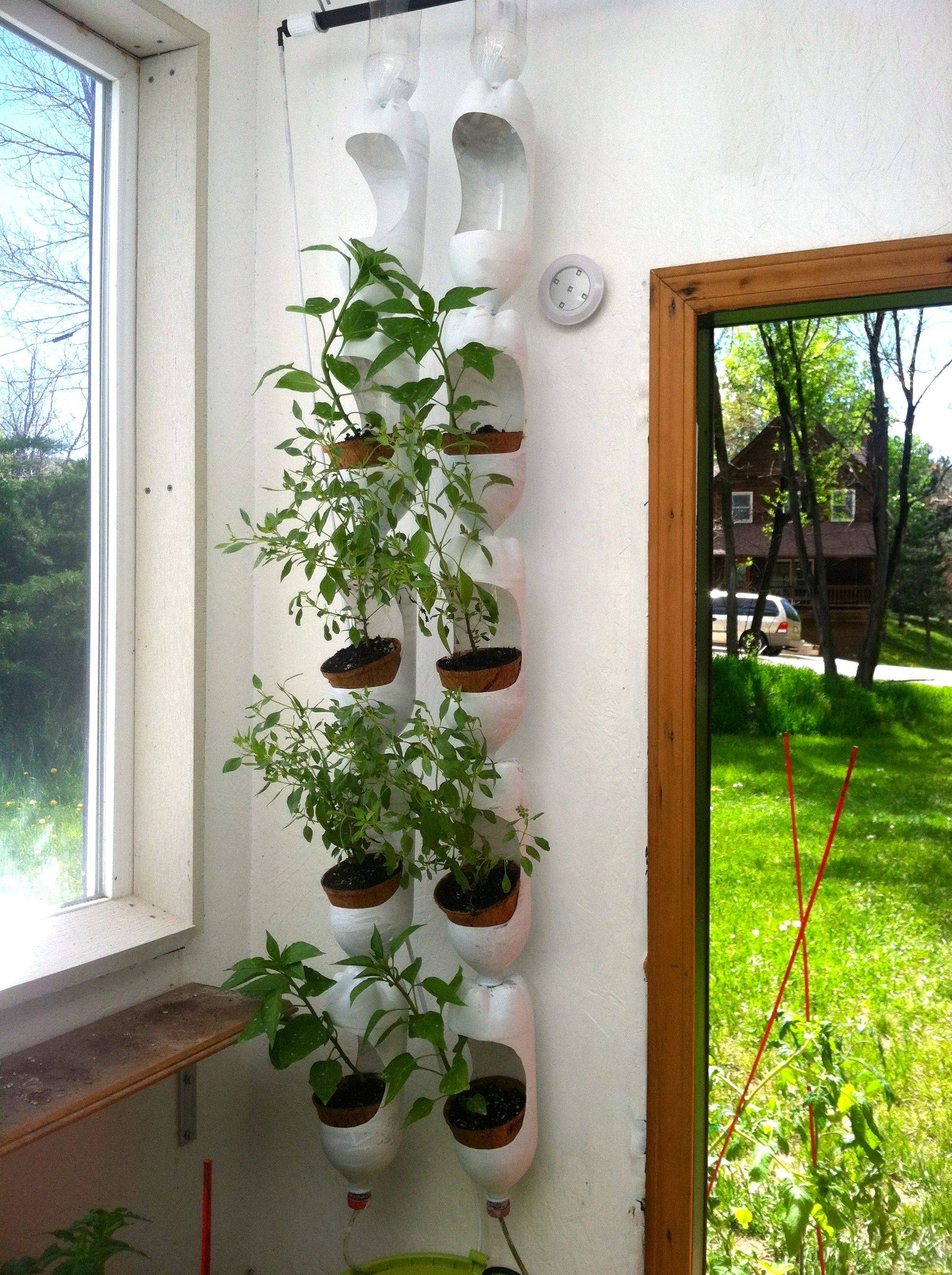 Plastic Bottle Vertical Gardens