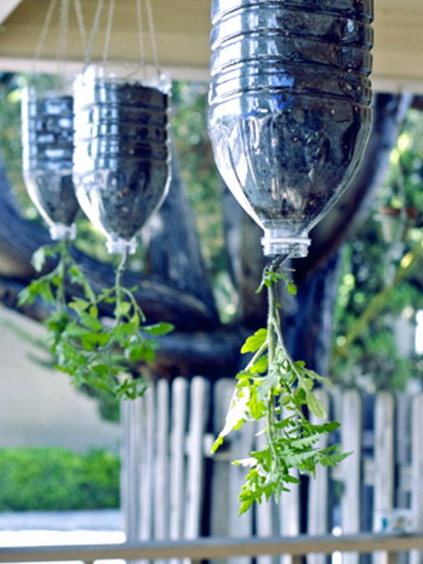 Cute Planters Ideas Diy Plant
