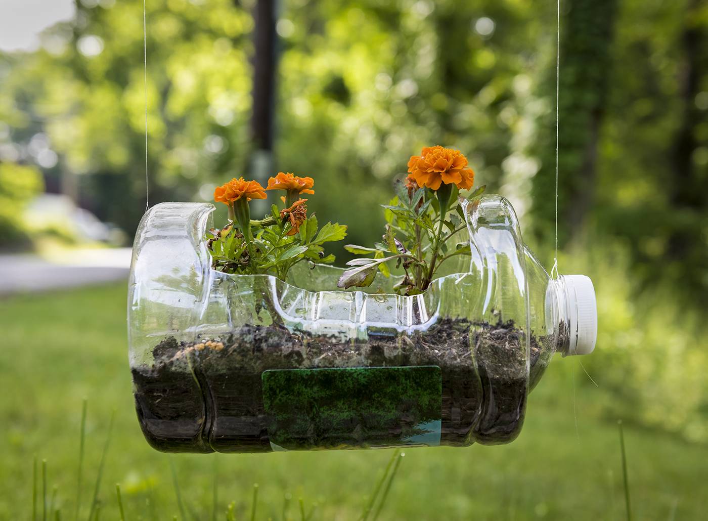 Creative Make Recycled Water Bottle Garden Art
