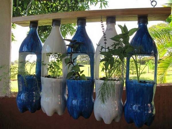 Home Gardening Ideas