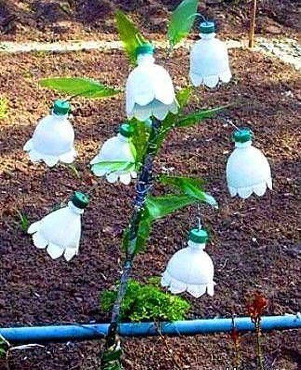 Vertical Garden Plastic Bottles