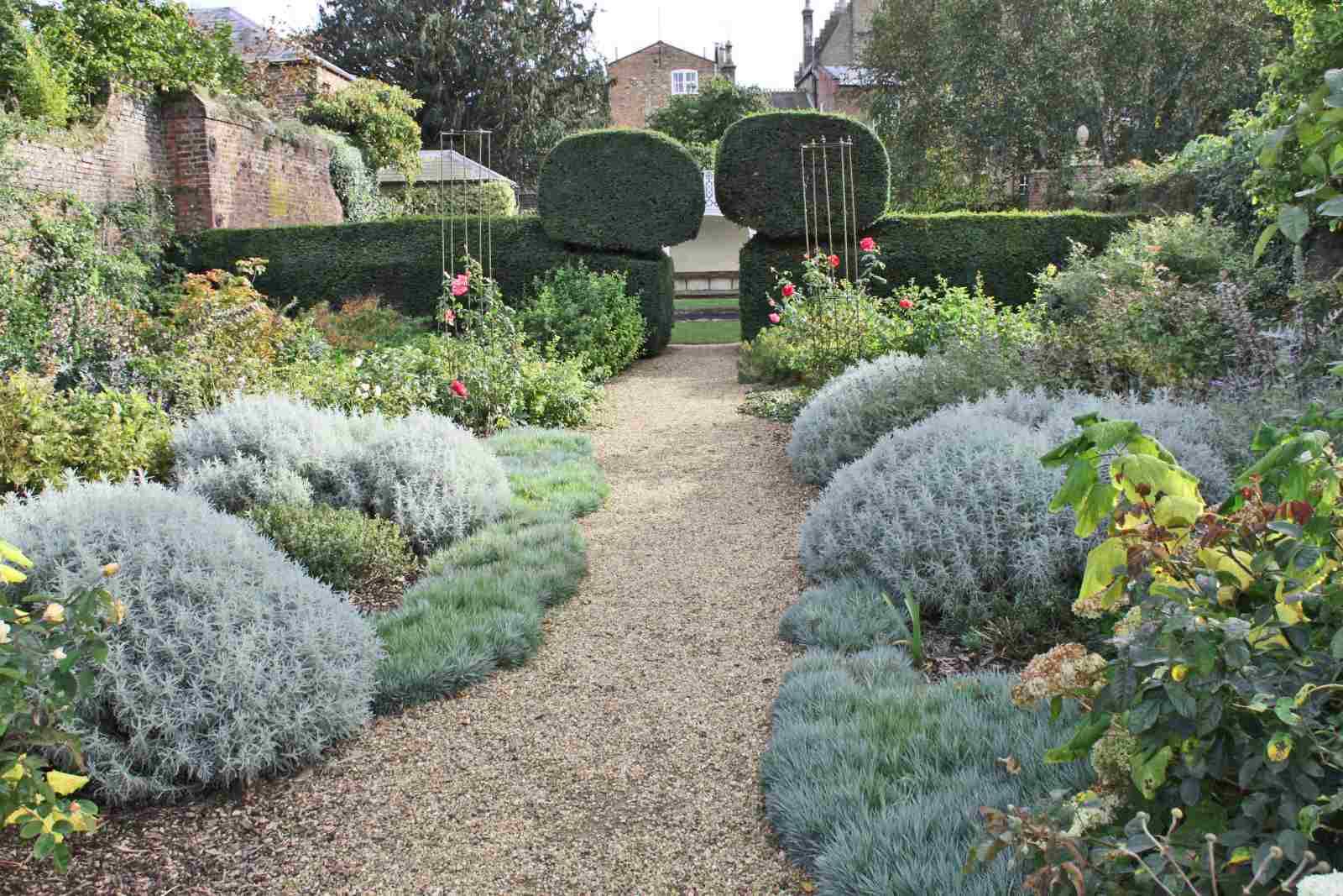 Flower Border Ideas