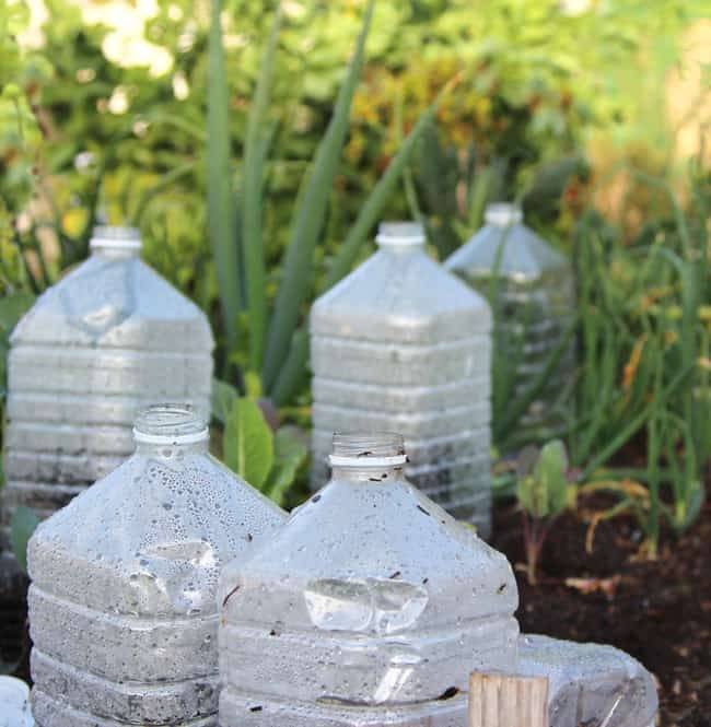 Clear Plastic Soda Pop Bottles