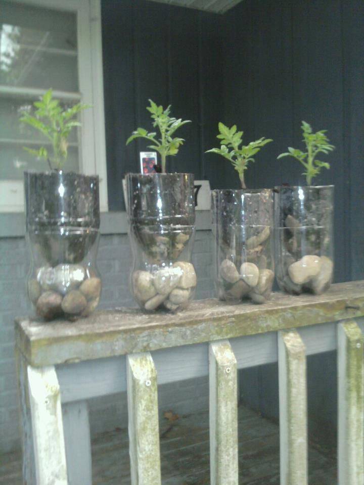 Liter Bottle Garden Liter Soda Bottle Wall Garden Diy Household