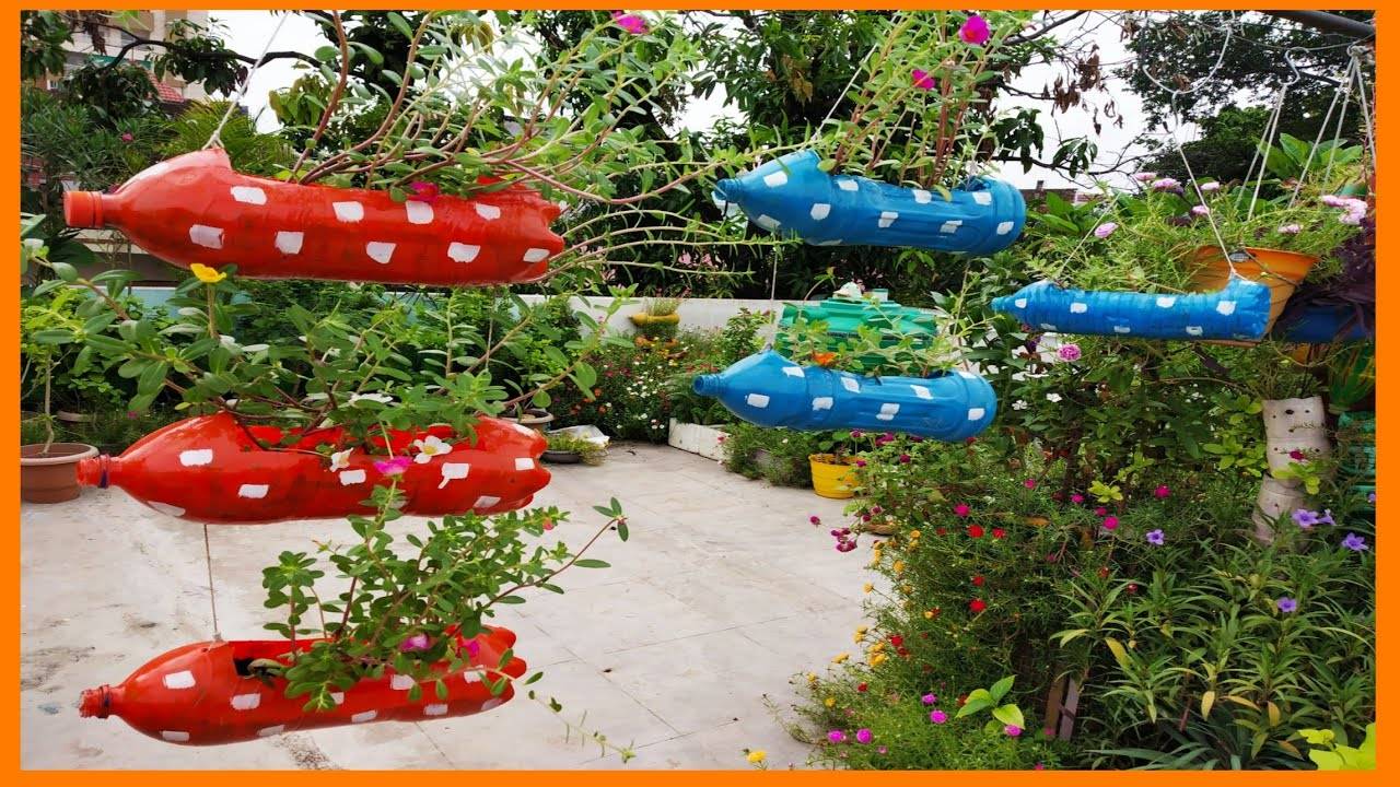 Brilliant Plastic Bottle Garden Ideas