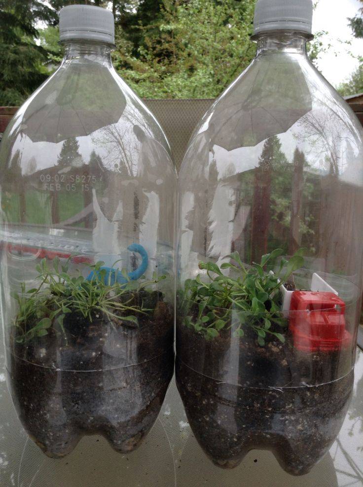 A Plastic Liter Water Bottle