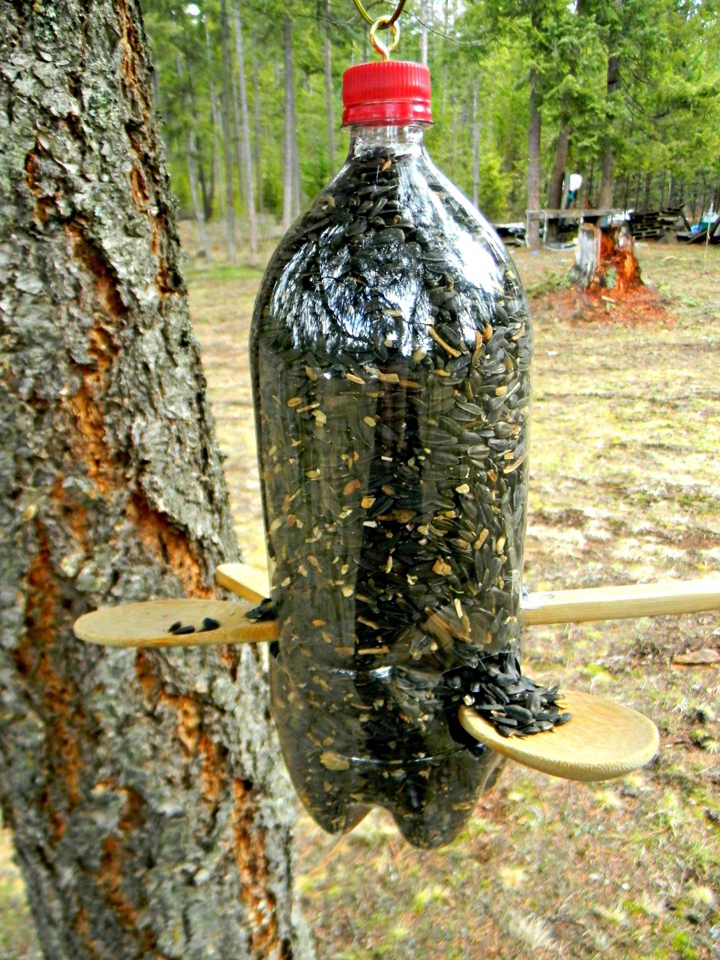 A Liter Bottle Garden