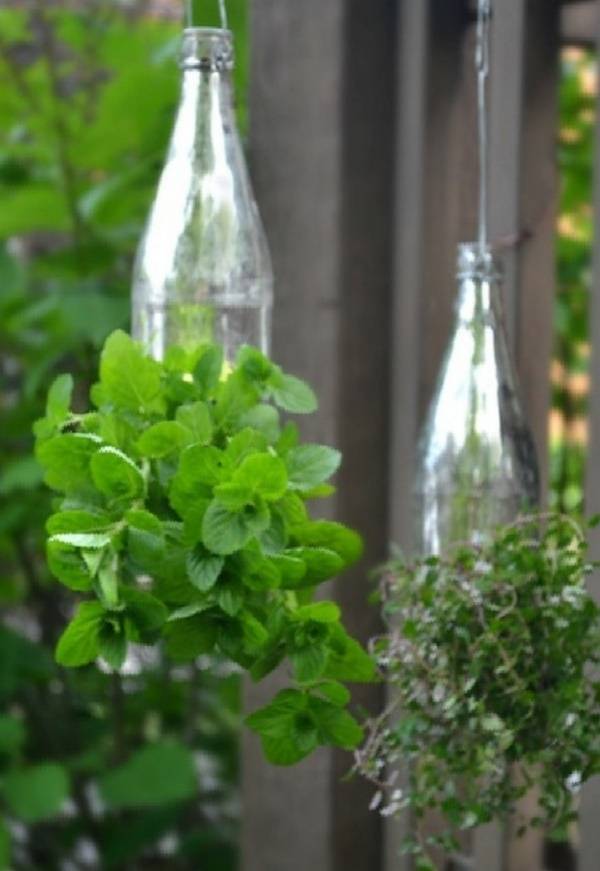 Used Liter Bottle Terrariums