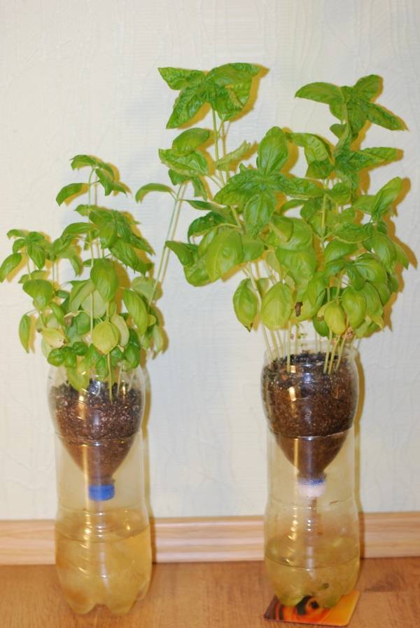 Clever Plastic Bottle Vertical Garden Ideas Farm