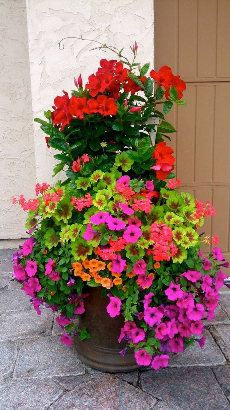 Beautiful Container Garden Flower Ideas Trenduhome