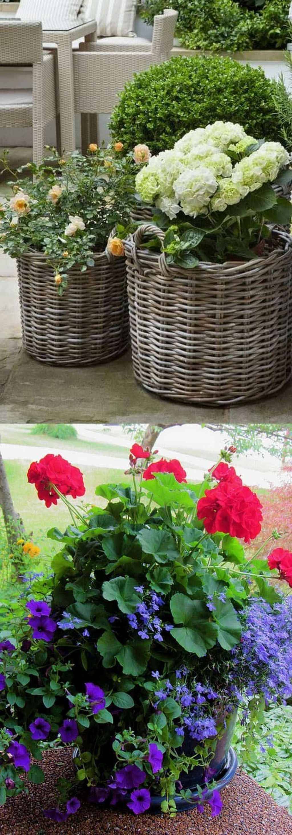 Gorgeous Container Garden Flowers Ideas